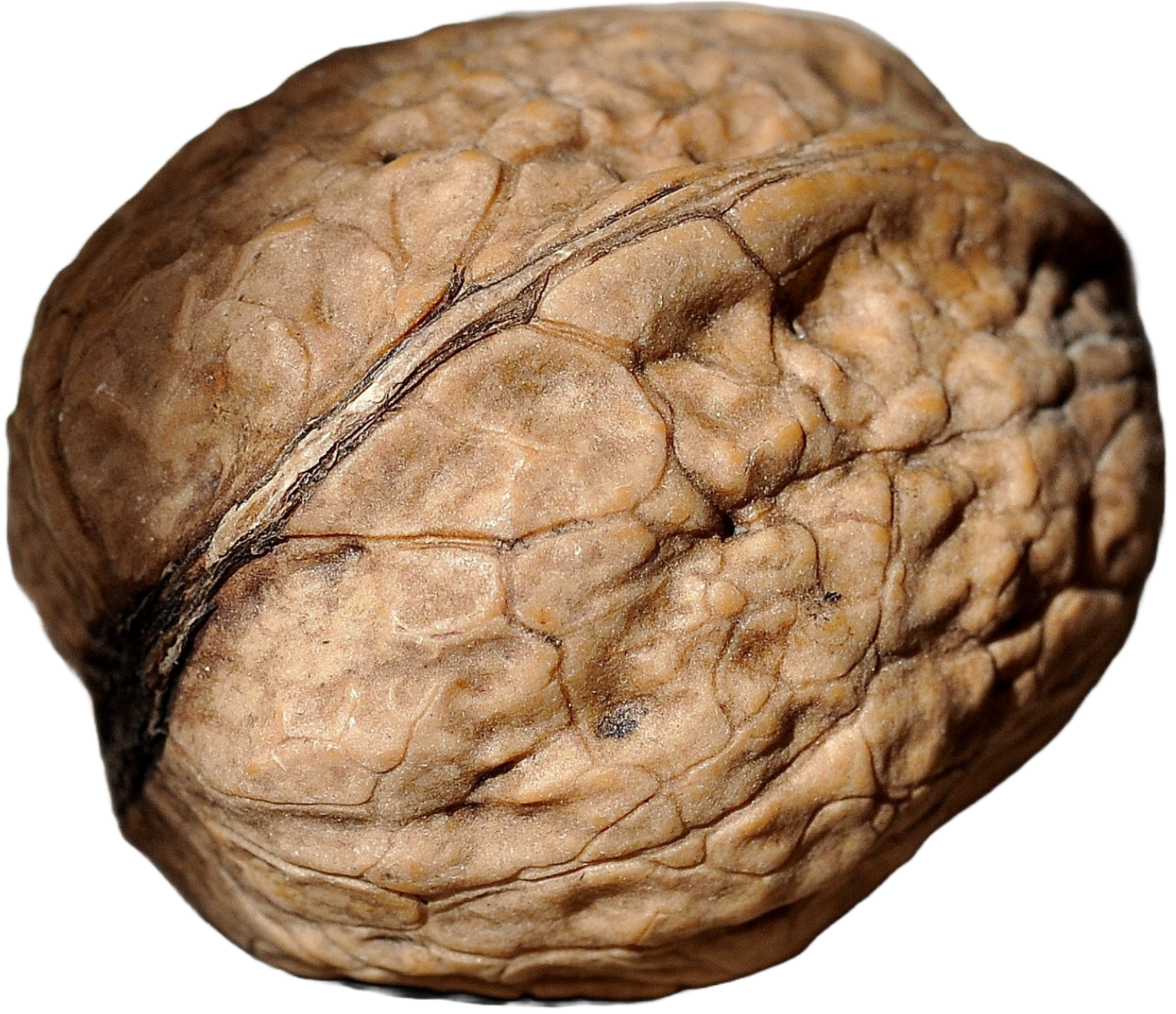 Nut