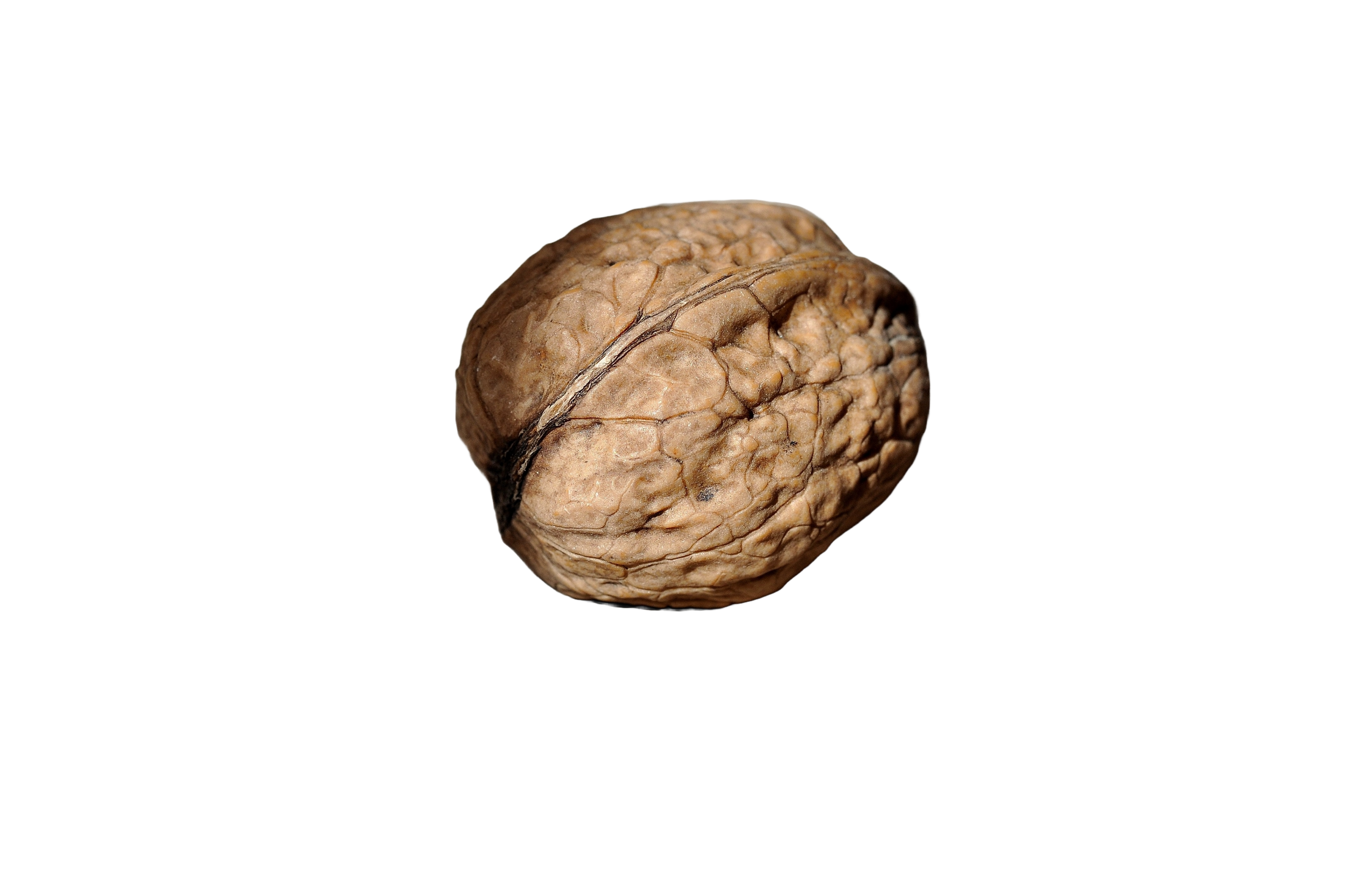 Nut